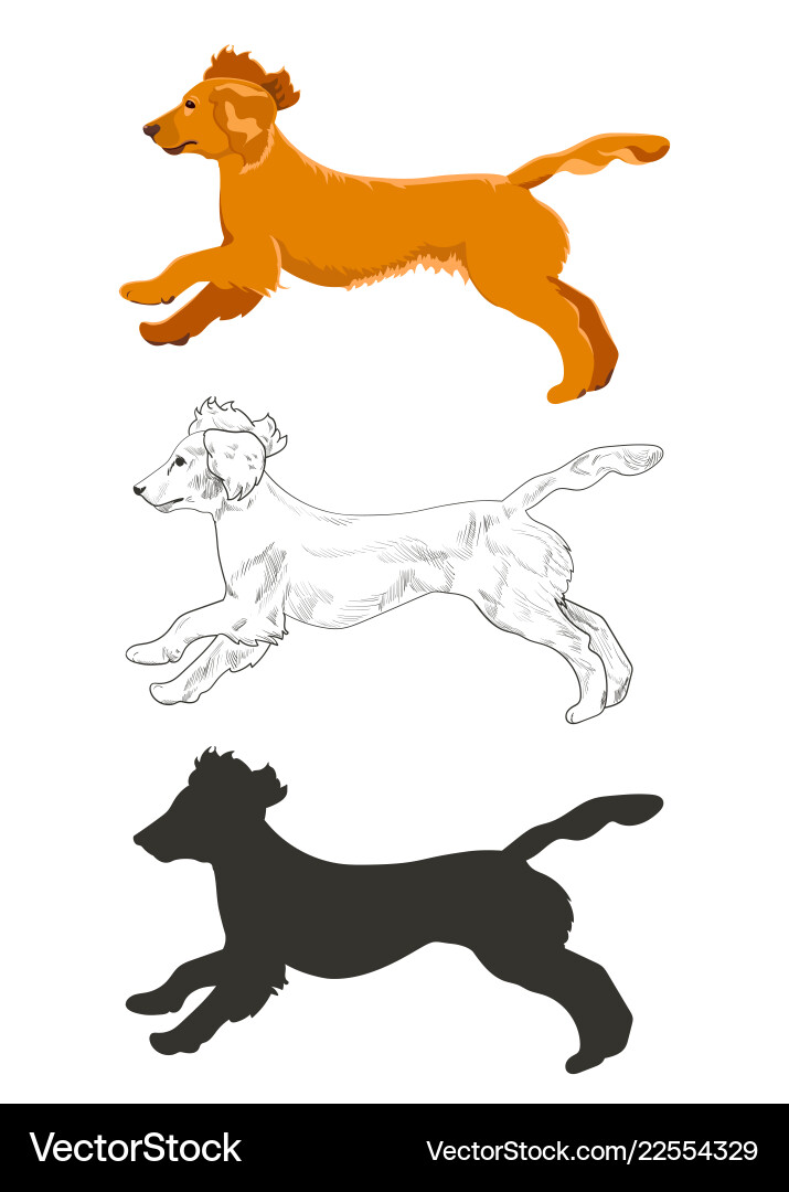 Cocker spaniel running in three different styles Cocker spaniel running in three different styles vector image