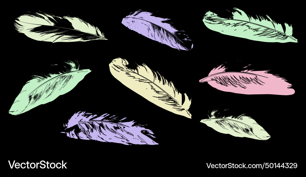 Silhouettes of multicolored feathers set Silhouettes of multicolored feathers set vector image