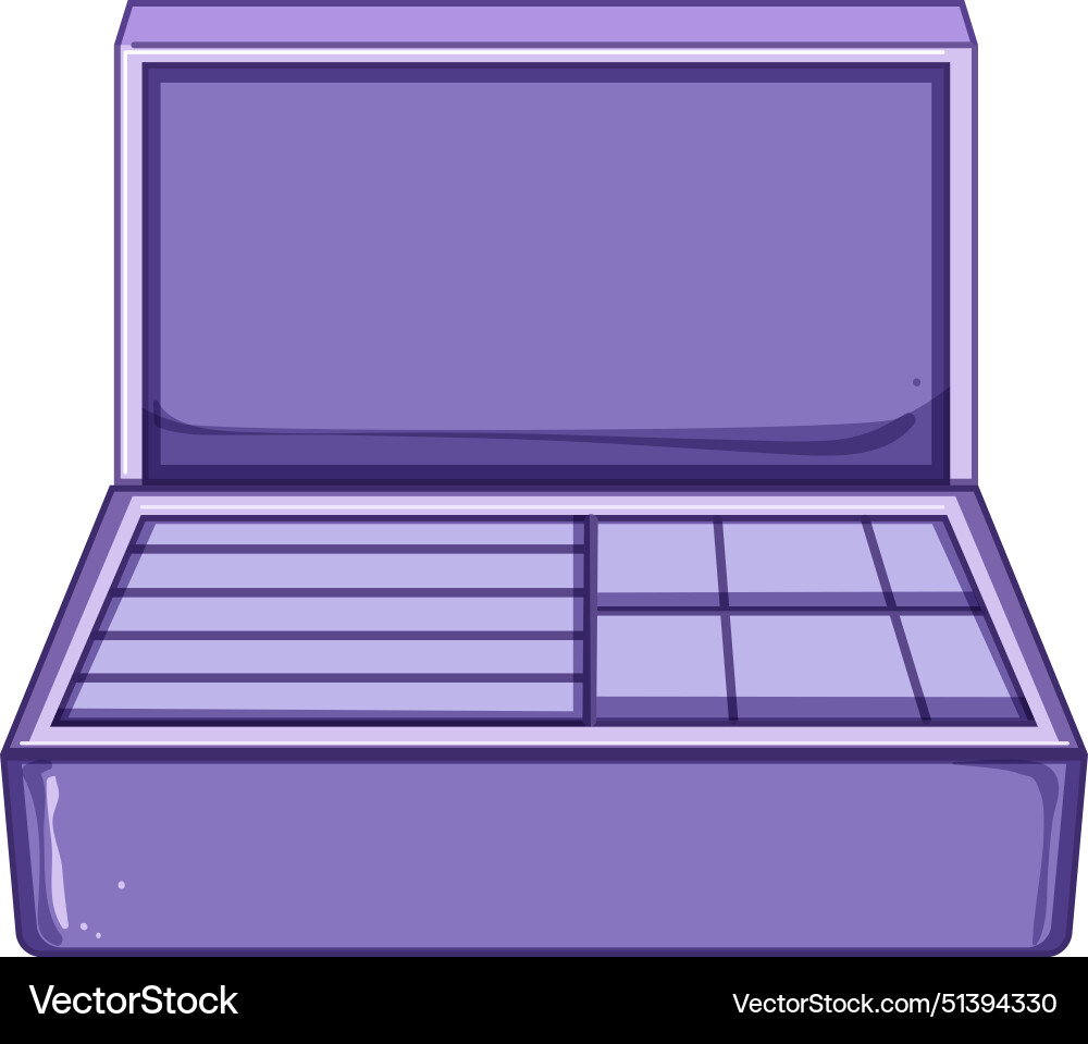 Jewellery jewelry organizer cartoon vector image