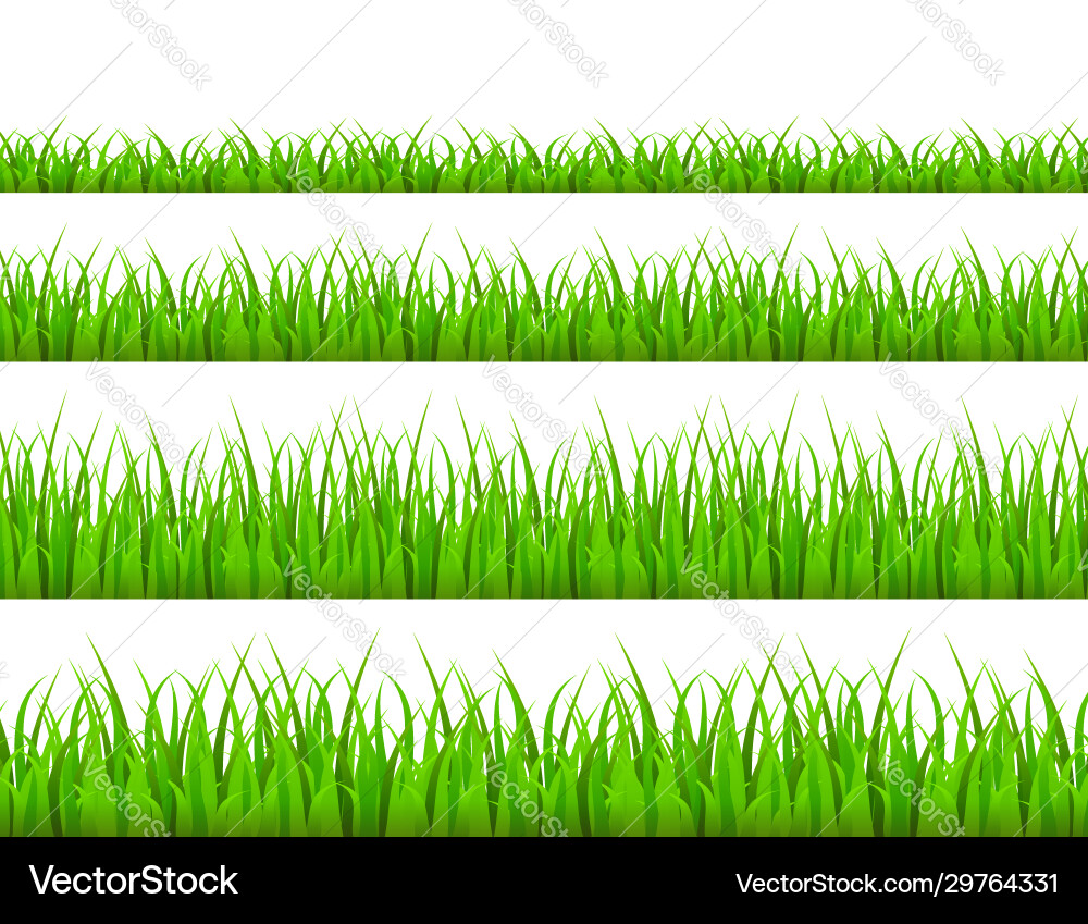 Green grass meadow border pattern background Vector Image