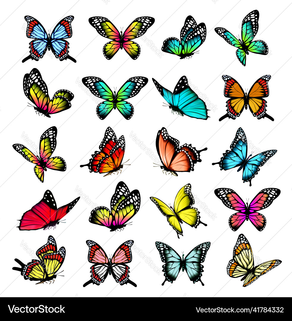 Collection of colorful butterflies flying Collection of colorful butterflies flying Vector Image