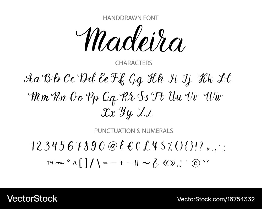 Handdrawn script font brush style texture vector image