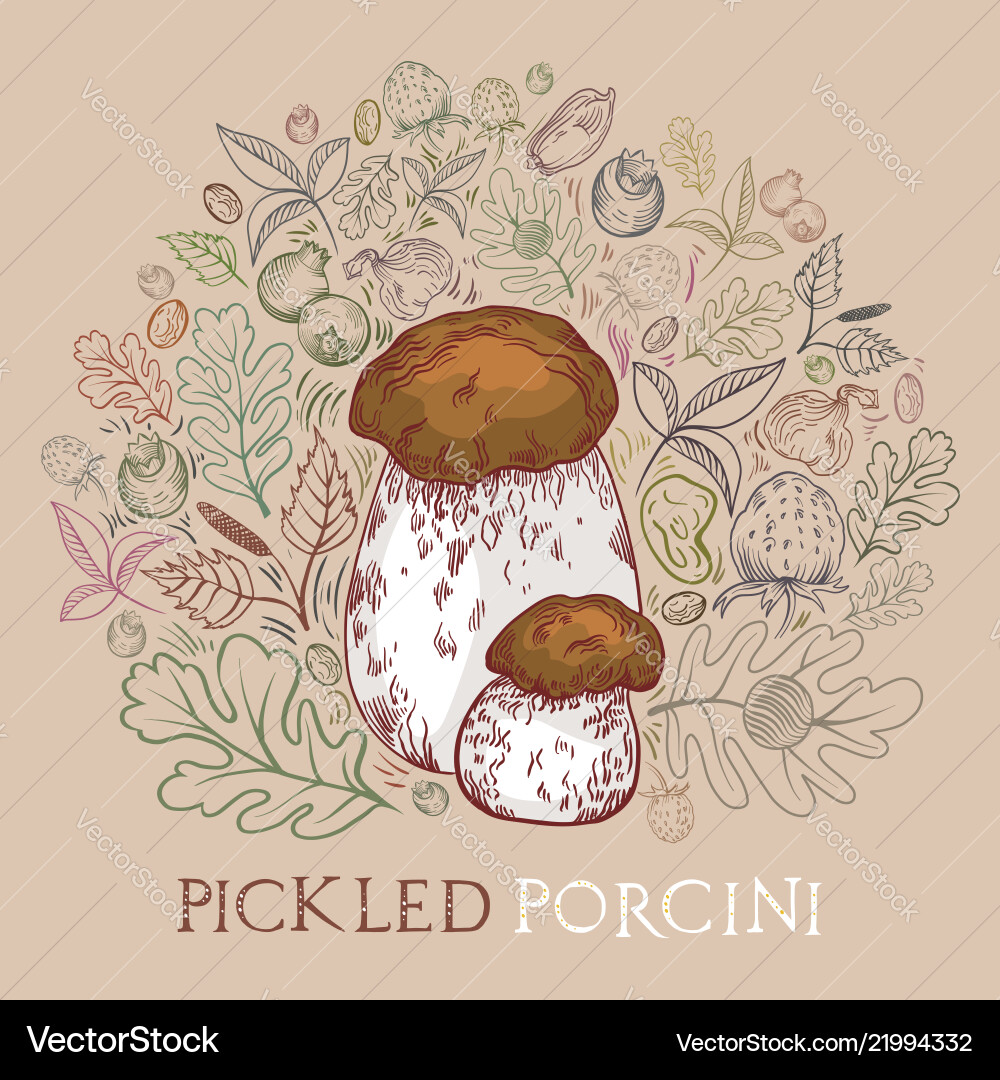 Pickled porcini mushroom with leaves spices Vector Image