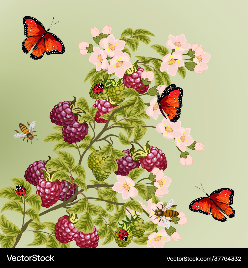 Raspberry Branch with Insects Vector Image