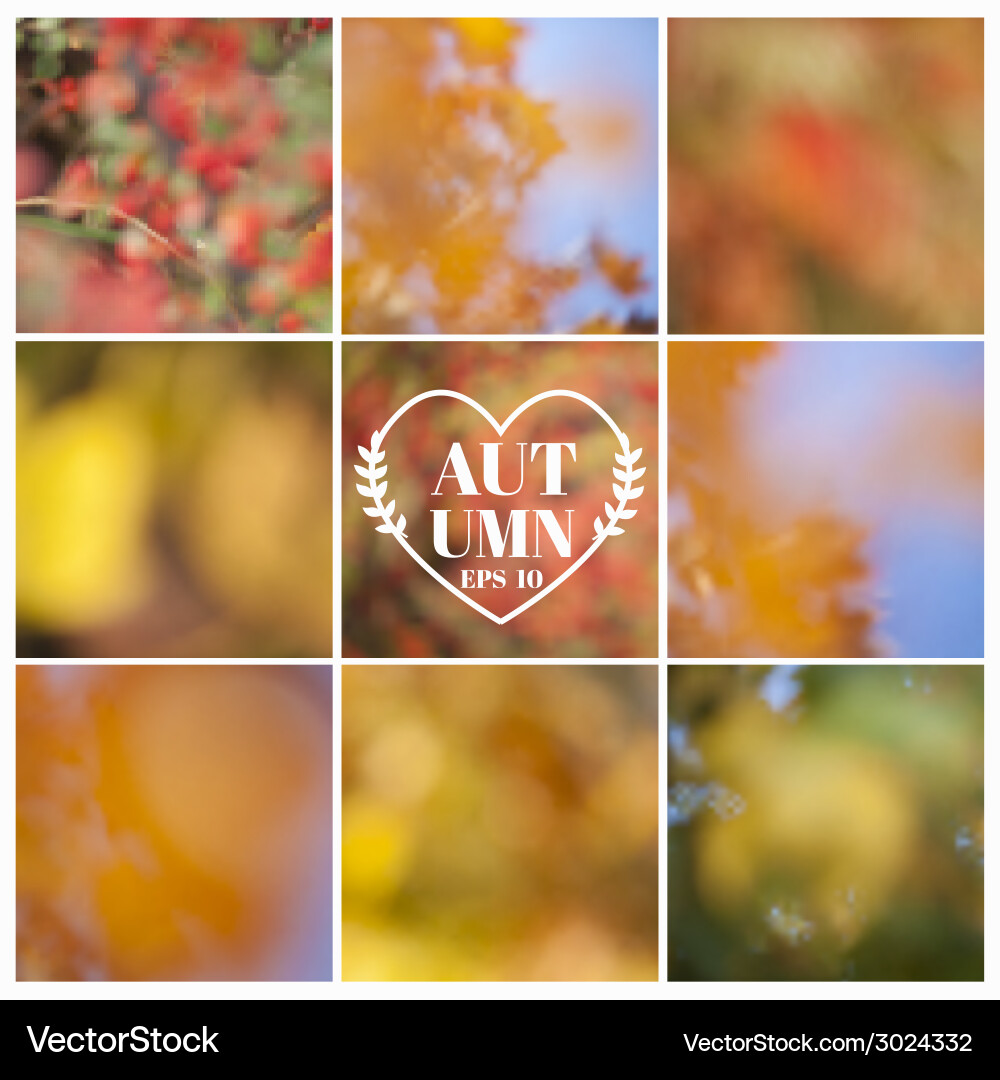 Set autumn backgrounds - 9 beautiful patterns Vector Image