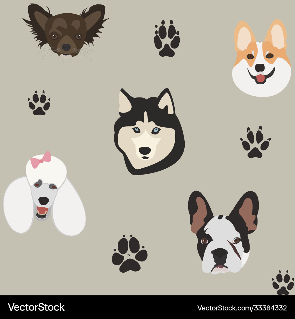 Simple pattern with dog heads and paw prints Simple pattern with dog heads and paw prints vector image