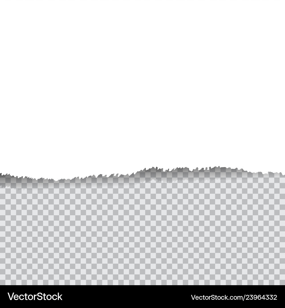 Torn paper on transapency background vector image