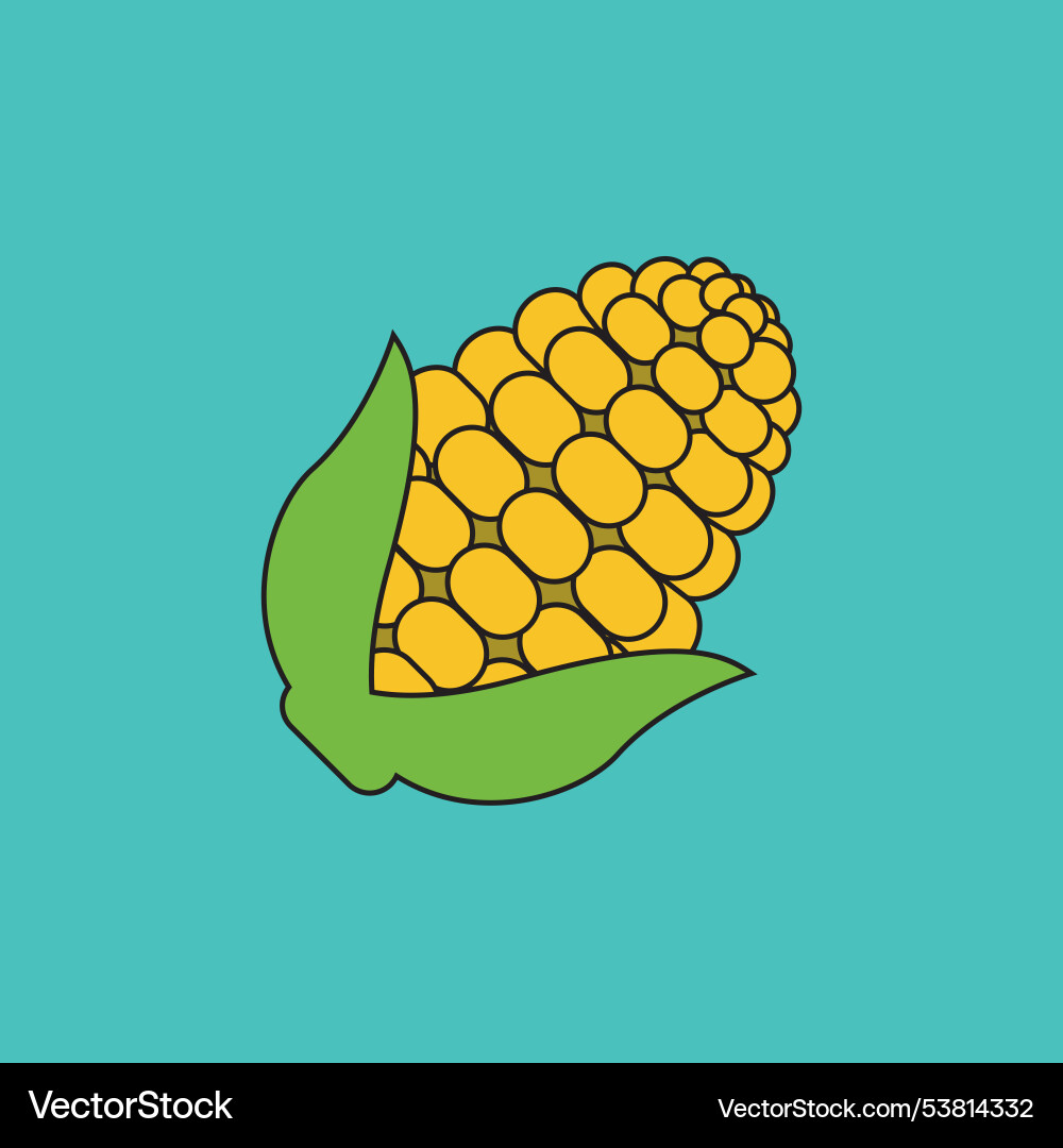 Vegetable corn rendering front view vector image
