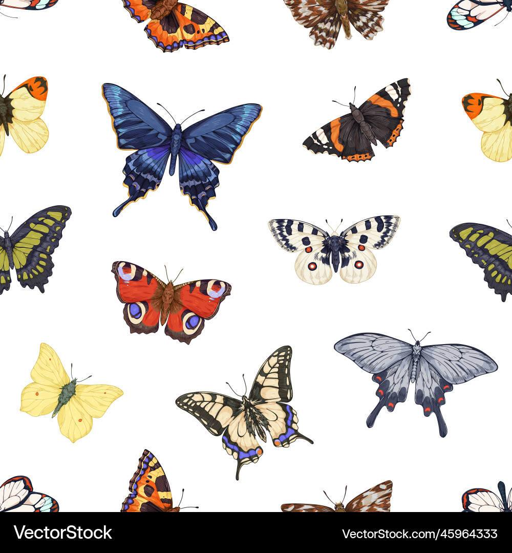Butterflies pattern seamless repeating print Vector Image