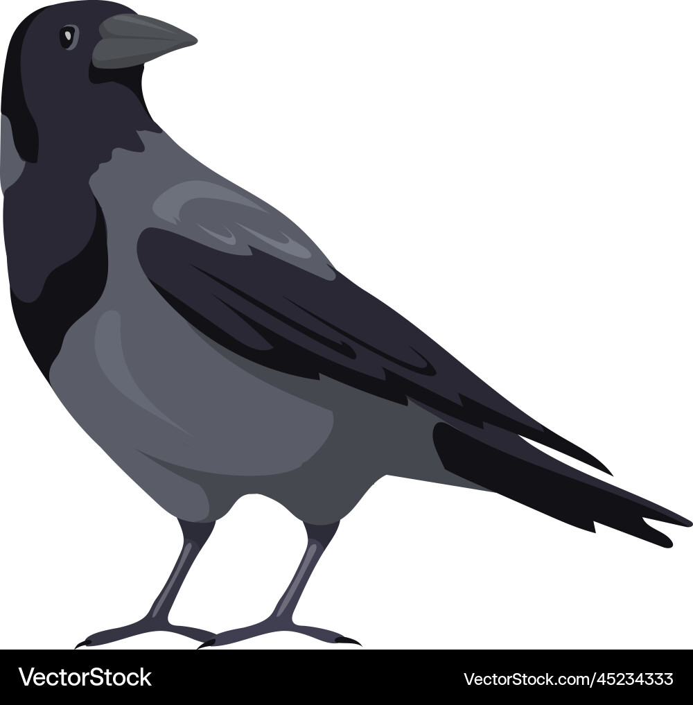 Crow-Symbol wilder Vogel mit grauem Federschwanz Crow-Symbol wilder Vogel mit grauem Federschwanz vektorbild