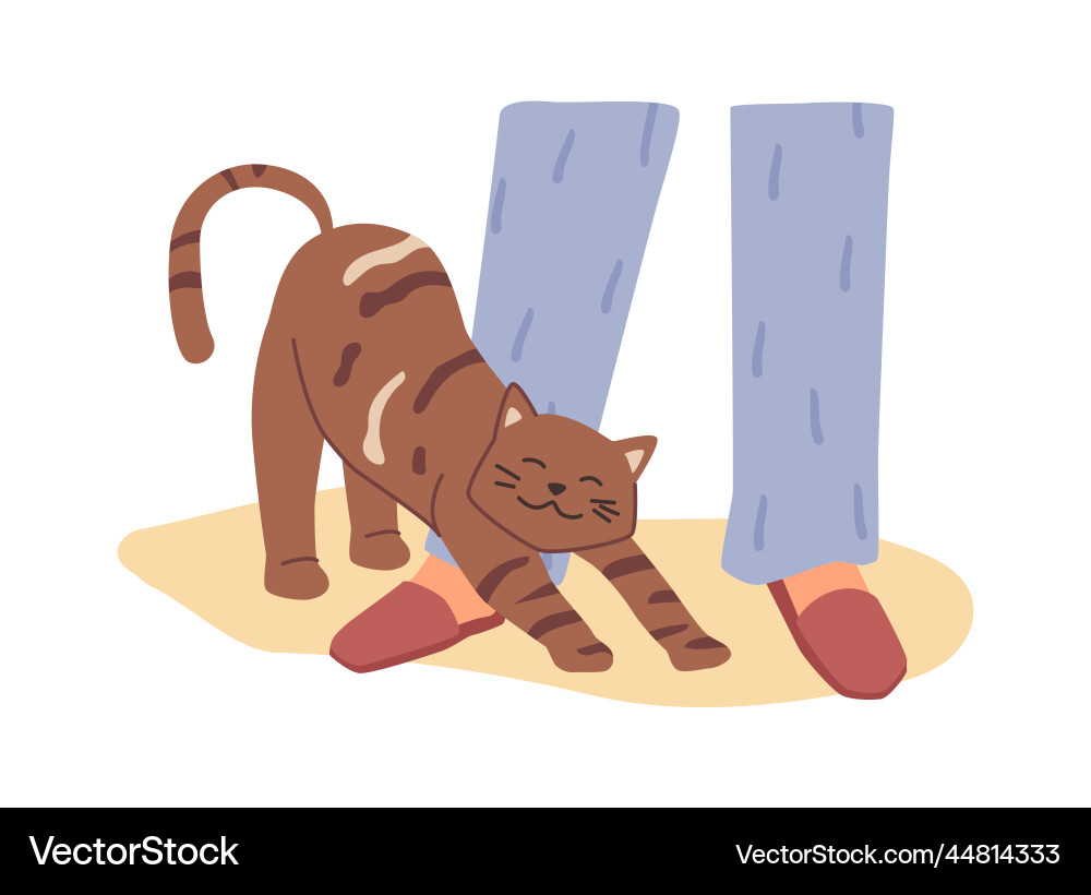 Kitten stretching by legs of owners Kitten stretching by legs of owners vector image