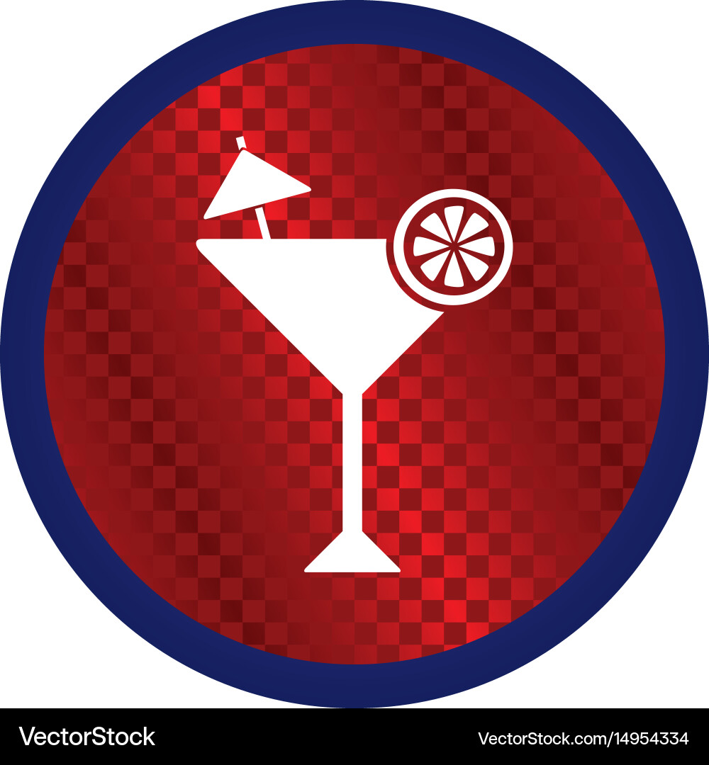 Glossy color website internet icon button theme Vector Image