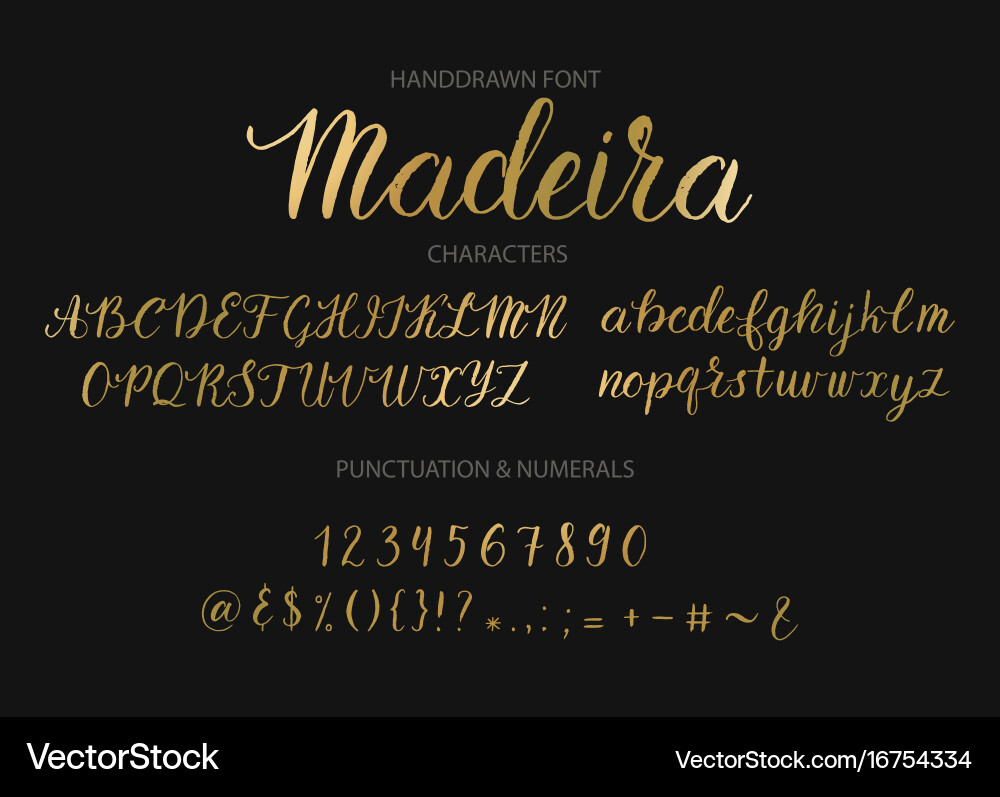 Handdrawn script font brush style texture vector image