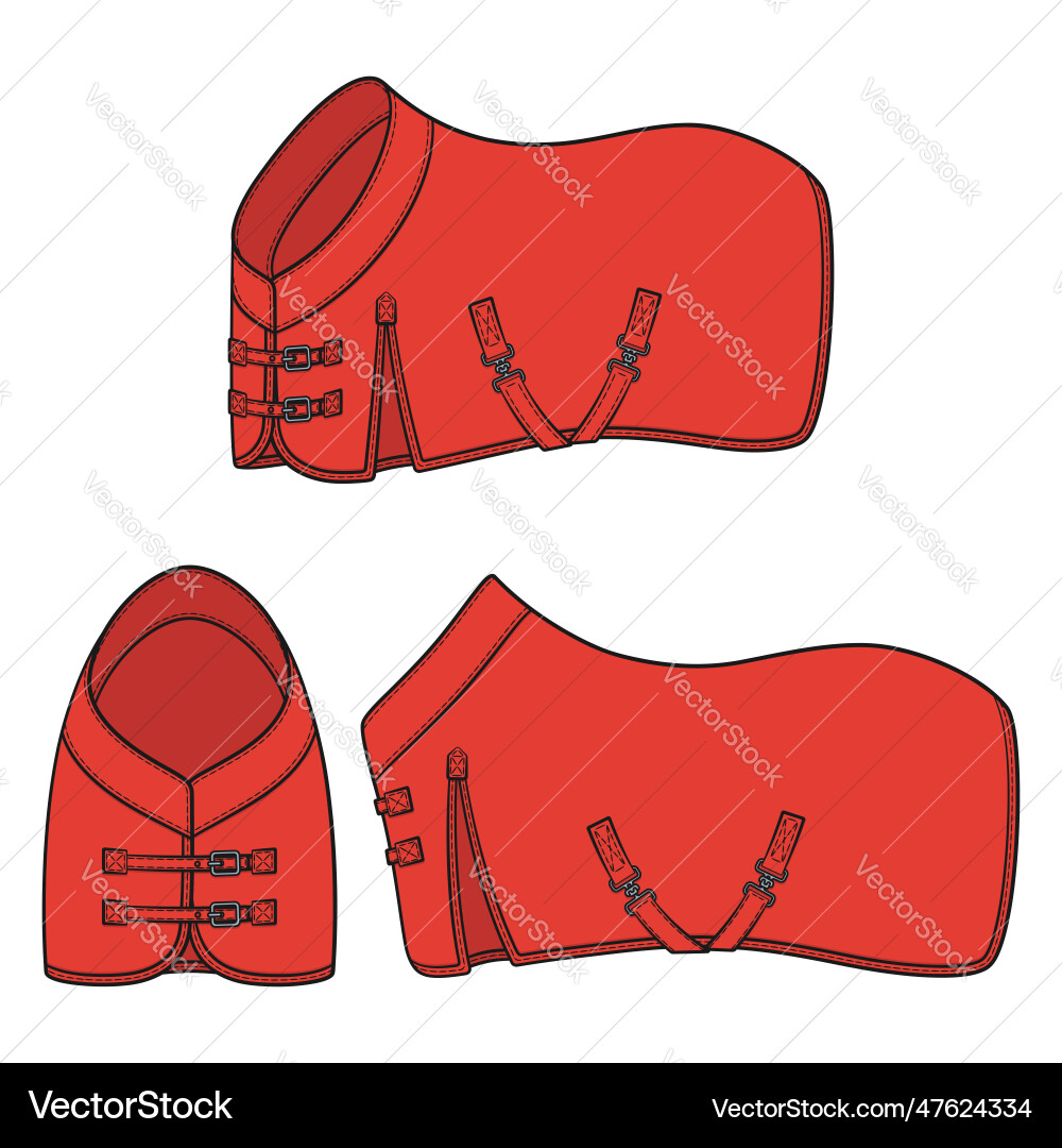 Set of color with red horse blanket Vector Image