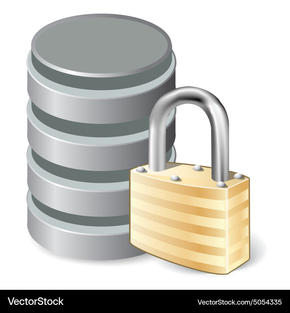 Database Security Lock Icon vector image