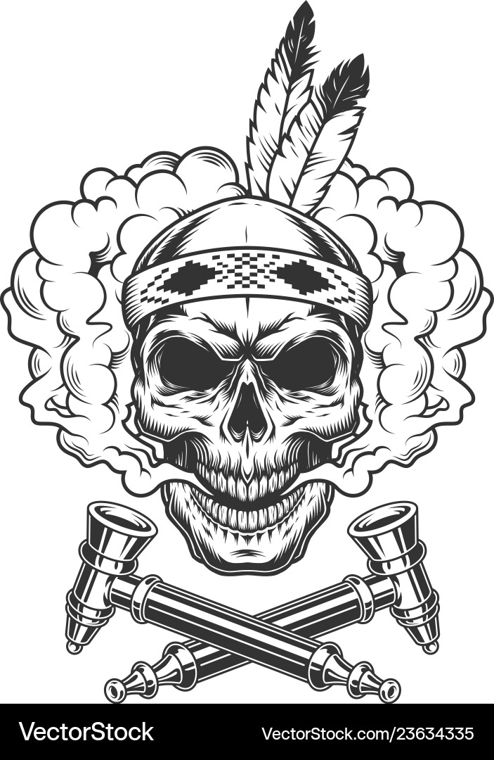 Native American Warrior Skull with Feathers Vector Image