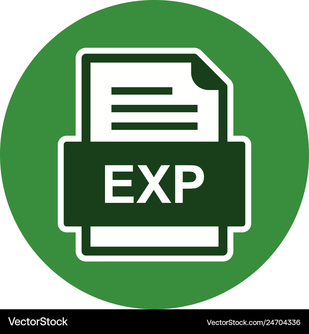 Exp file document icon Vector Image