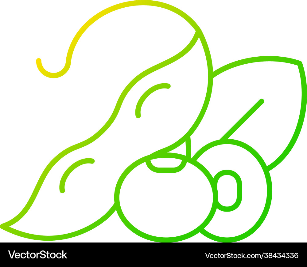 Soybean gradient linear icon Soybean gradient linear icon vector image