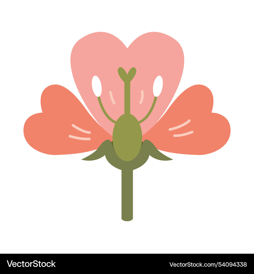 Structure of the flower in a section botany Structure of the flower in a section botany vector image