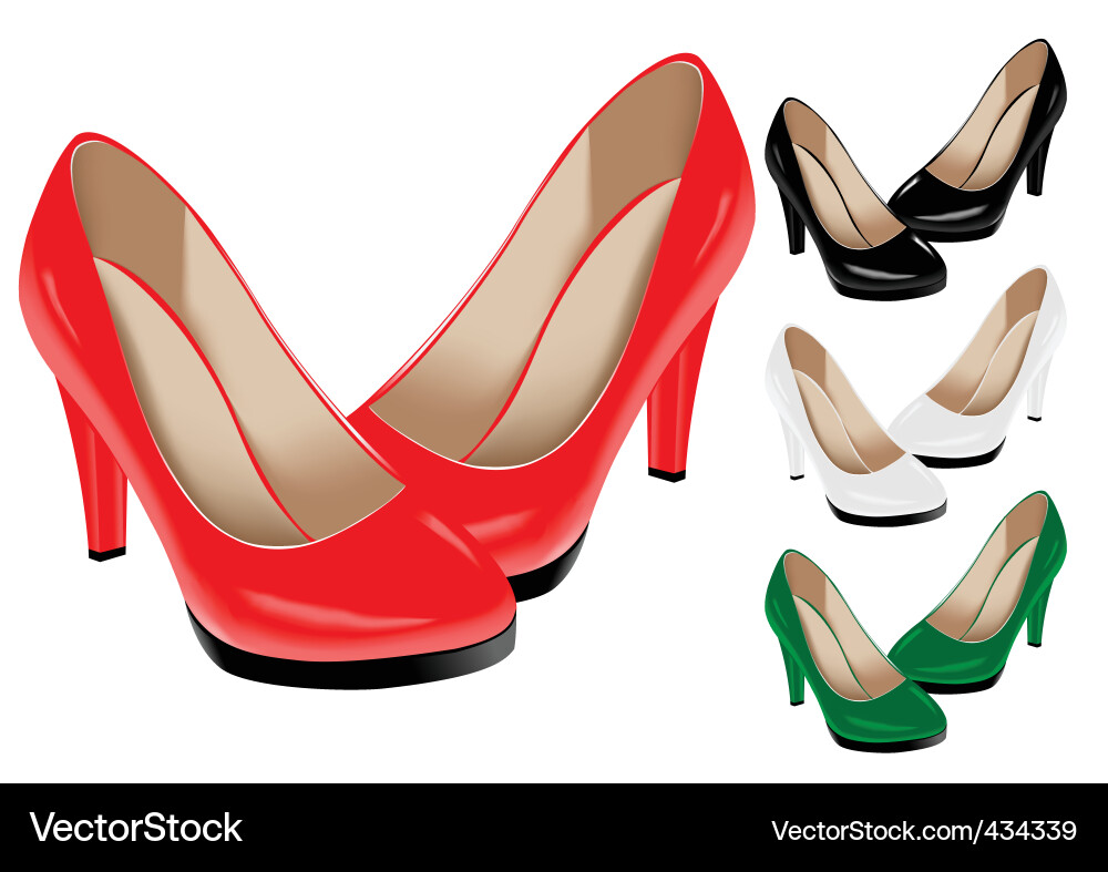 Elegant Female Shoes Vector Image