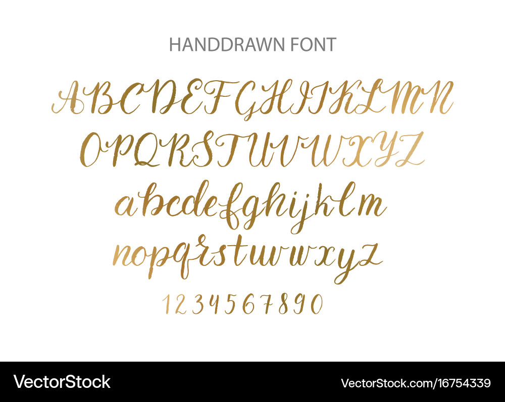 Handdrawn script font brush style texture vector image