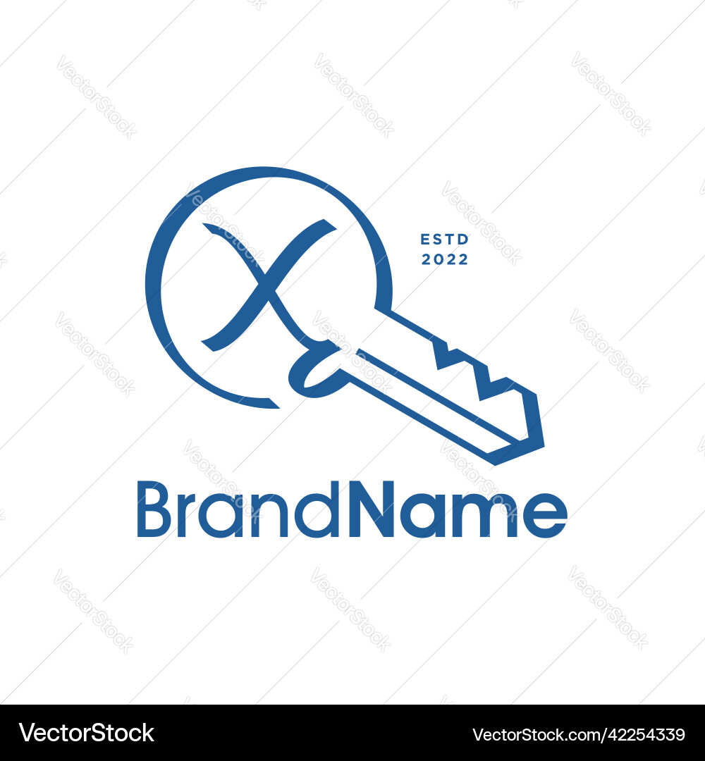 Initial x abstract key Vector Image