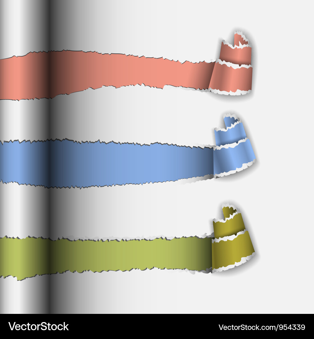 Layout design with torn paper vector image