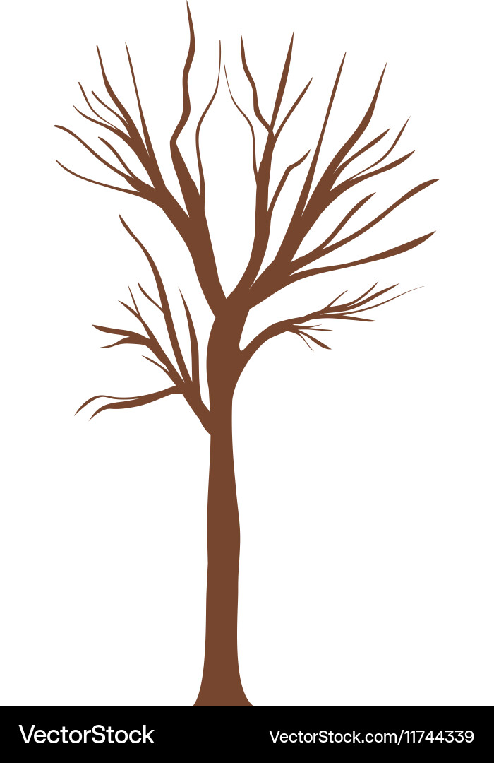 Tree trunk with branchs without leaves Vector Image