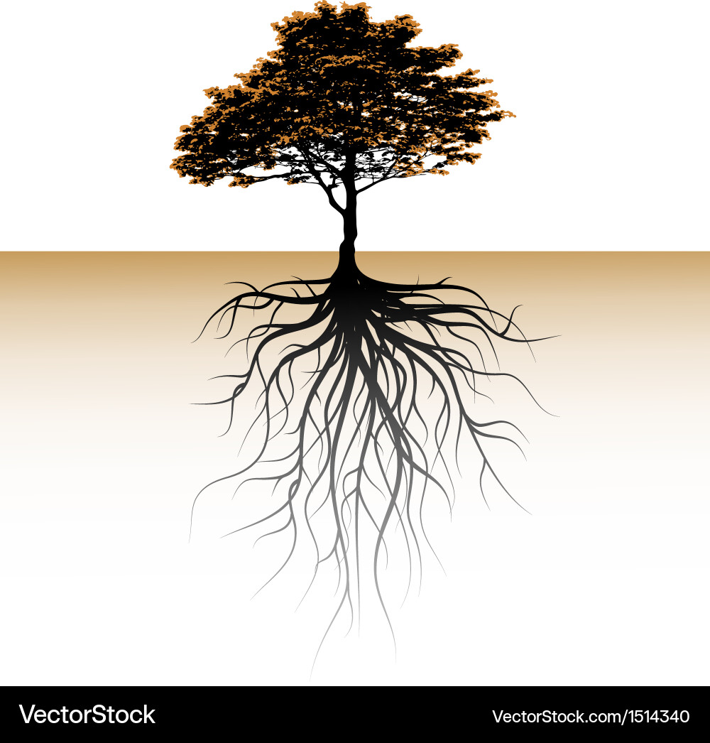 Abstract Tree with Roots vector image