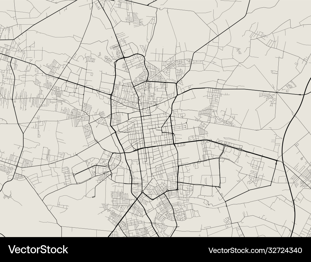 Lodz City Map - Street Network Vector Image