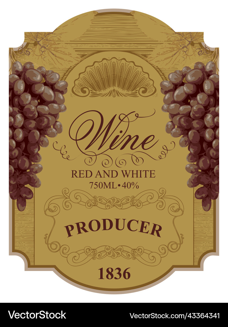 Wine label in retro style with bunches of grape Wine label in retro style with bunches of grape vector image