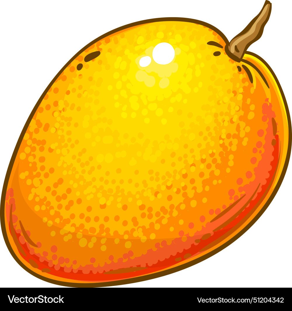 Mango fruits colored detailed vector image