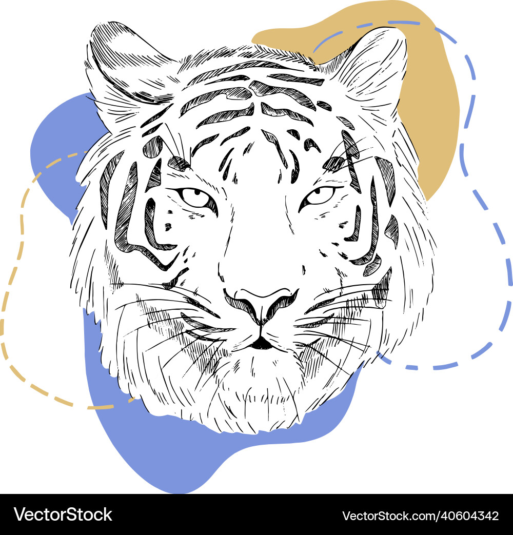 Tiger Sketch with Abstract Forms vector image