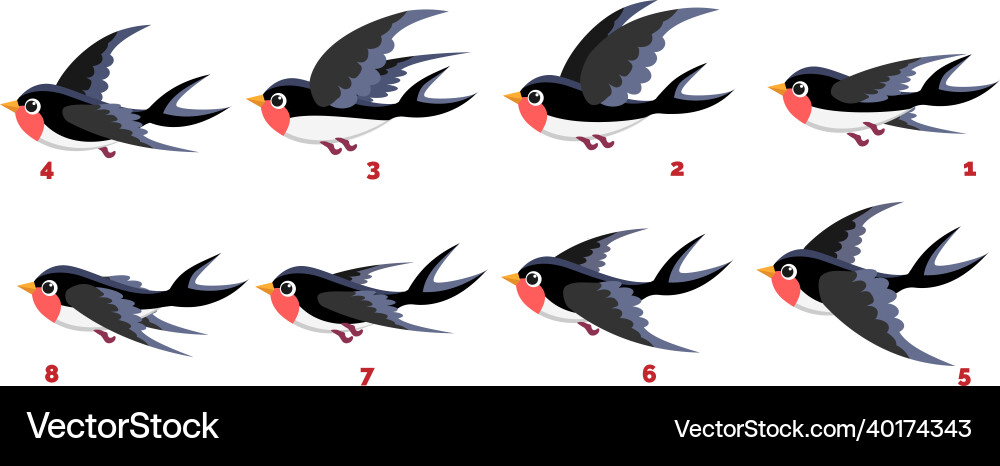 Animated Swallow Flight Sequence vector image