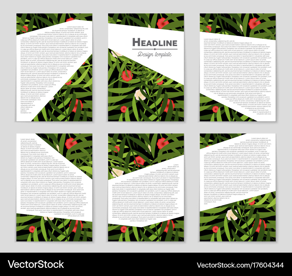 Abstract layout background set for art Vector Image