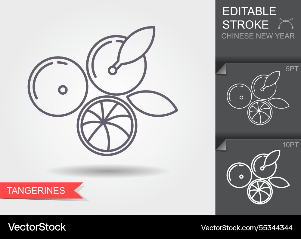 Tangerines linear icon with editable stroke Tangerines linear icon with editable stroke vector image
