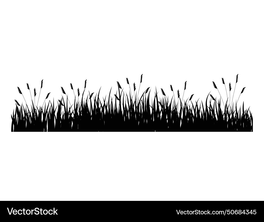 Gras Grenz Silhouette Kunst Gras Grenz Silhouette Kunst vektorbild