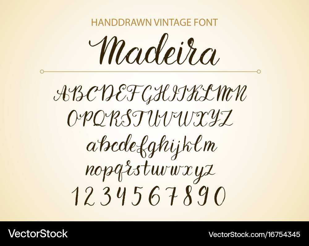 Handdrawn script font brush style texture vector image