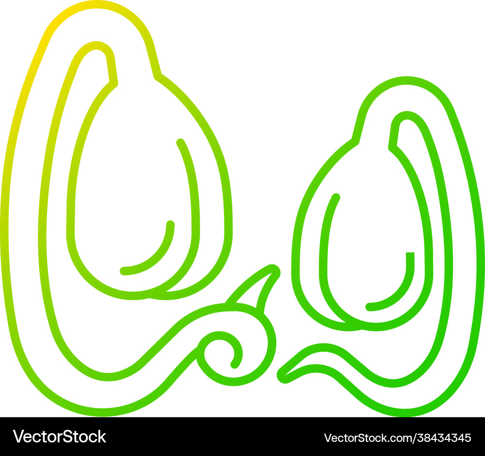 Soy sprouts gradient linear icon Soy sprouts gradient linear icon vector image