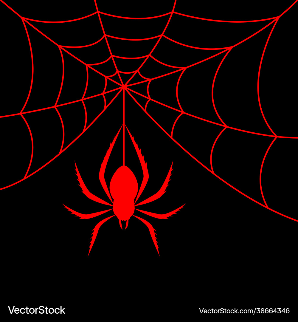 Red spider and web on black background vector image