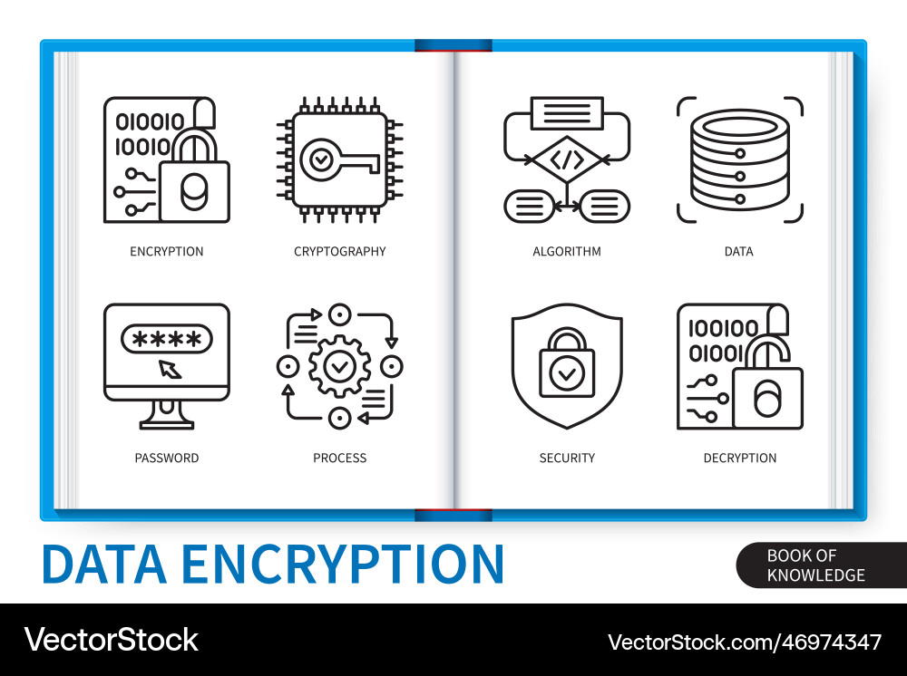 Data Encryption Icons Set vector image