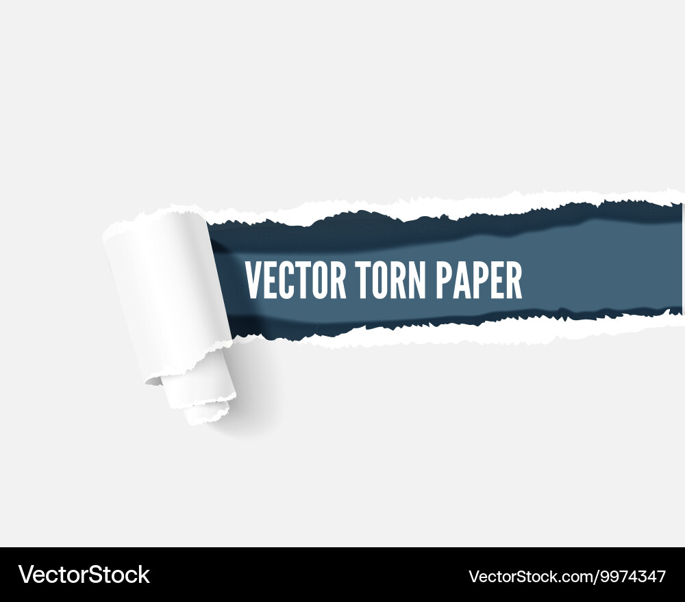 Torn paper with space for your message realistic vector image