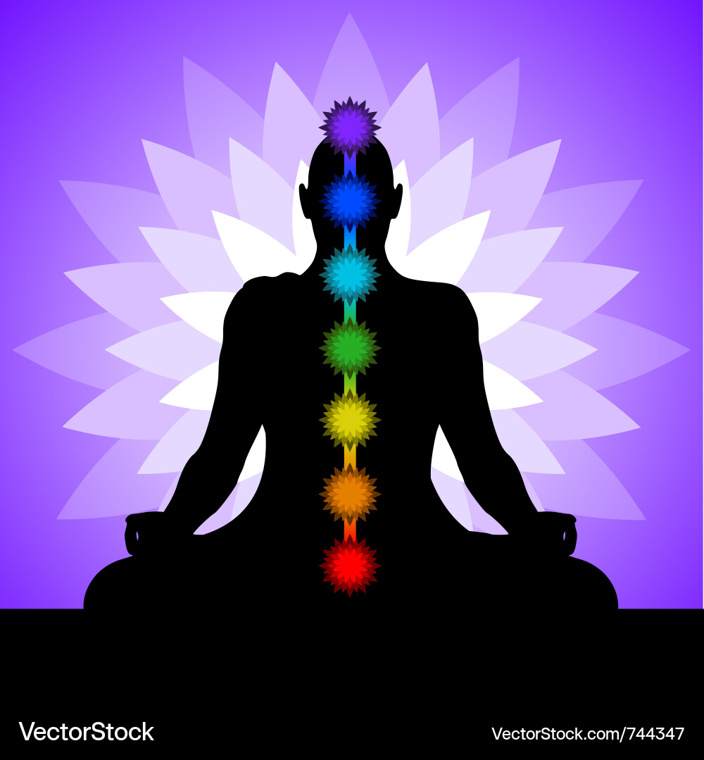 Yogi with chakras Royalty Free Vector Image - VectorStock