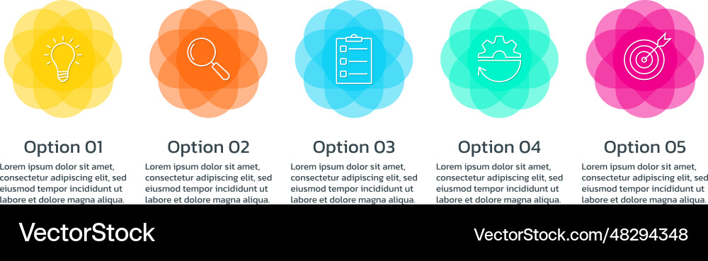 5 steps infographic elements with numbers 5 steps infographic elements with numbers Vector Image