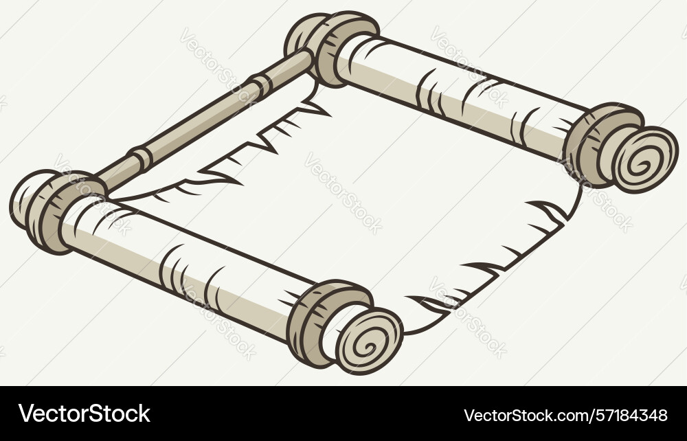 Blank rolled paper scroll template design vector image