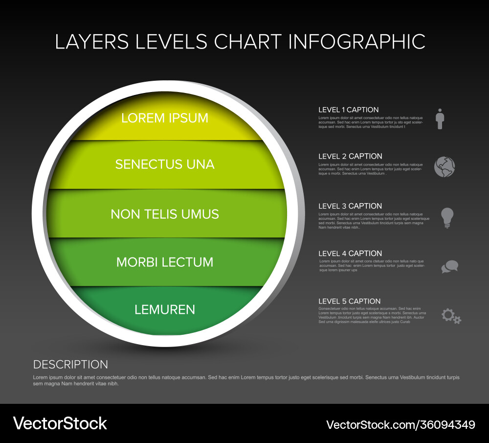 Layers levels infographic template in circle Vector Image