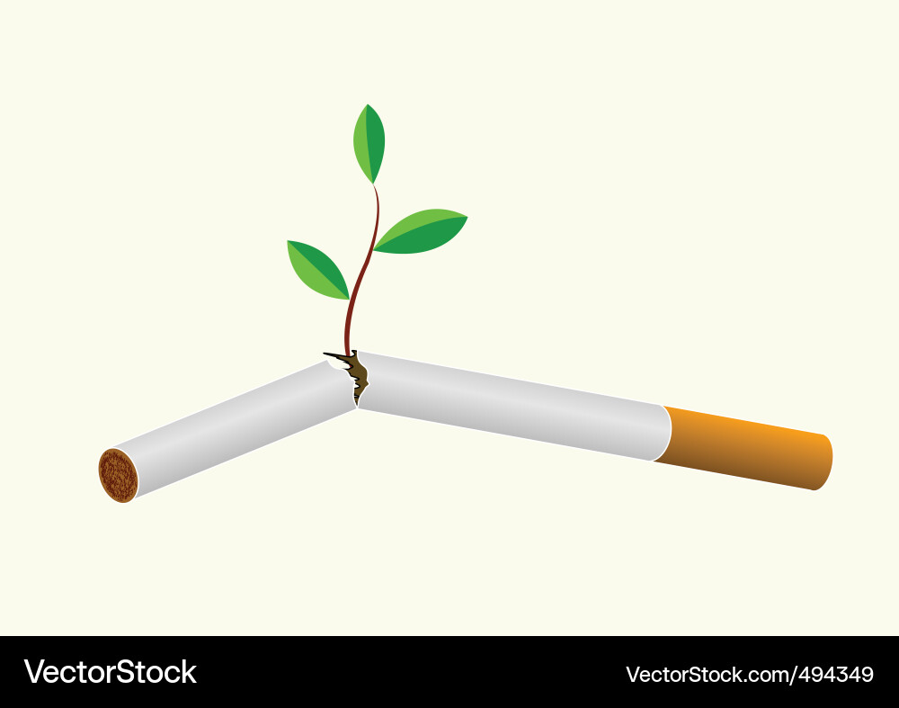 throw cigarette Throw cigarette (494349) – Royalty-Free Vector