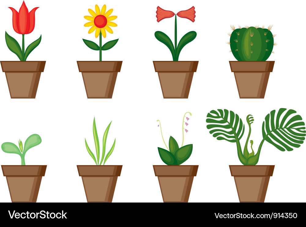 Window plants Royalty Free Vector Image - VectorStock