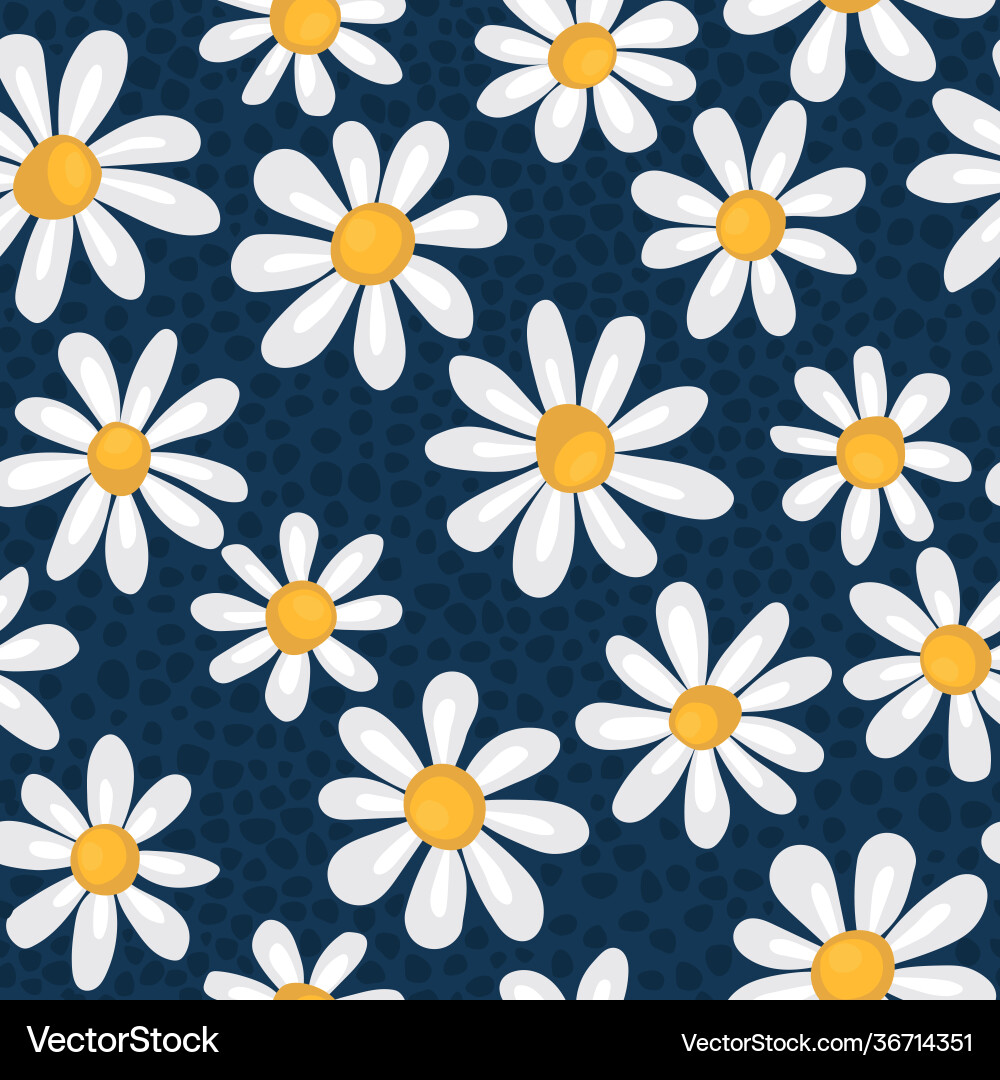 Seamless spring pattern with simple chamomiles Seamless spring pattern with simple chamomiles vector image