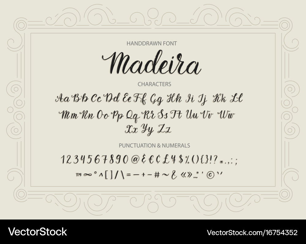 Handdrawn script font brush style texture vector image